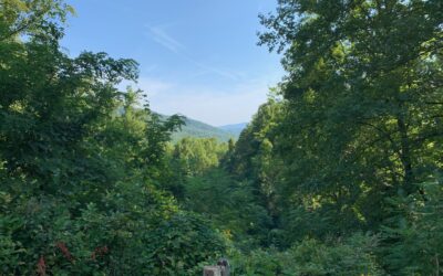 Bewerten oder verurteilen – kennst du den feinen Unterschied?