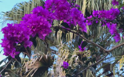 Mut und Loslassen – der Beginn jeder Veränderung