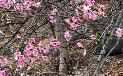 Das Dazwischen – wo Neues entsteht