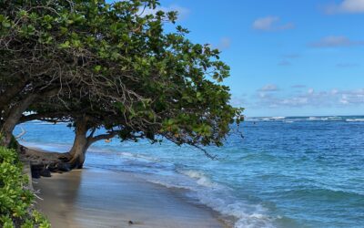 Alles beginnt bei dir