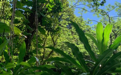 Was gibst du zurück?